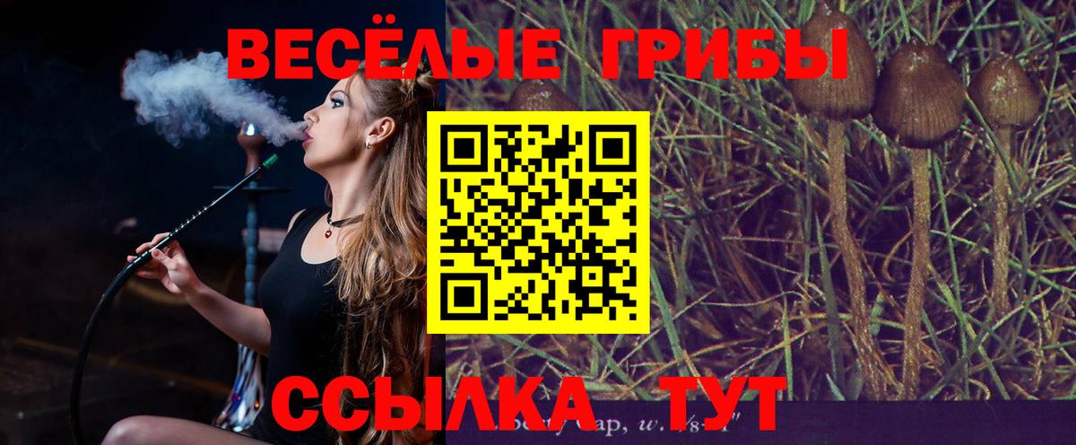 Красноармейск  Псилоцибиновые грибы прущие грибы  где купить   Псилоцибиновые грибы прущие грибы  Вход с VPN 